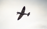 Spitfire