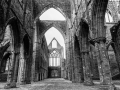 1289_0020