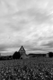 Rural church, St Leger