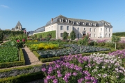 Vegetable garden