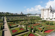 Wide garden view