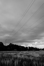 Power Lines