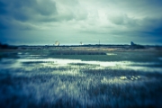 Goonhilly pond