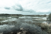 Goonhilly pond