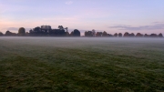 Mist at the Water Tower