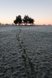 Frost footsteps