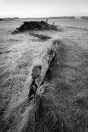 Wooden Wreck