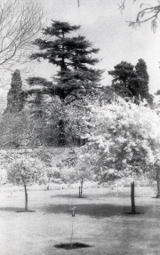 Buscot Park, Oxfordshire