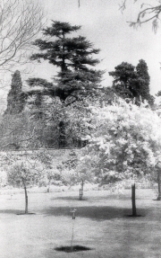 Buscot Park, Oxfordshire