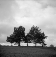 Seven Sisters, The Downs, Bristol