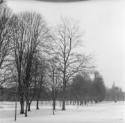 Snow on Henbury Golf Course