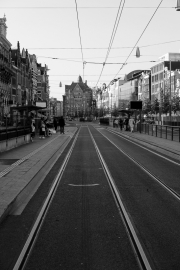 Tram Tracks