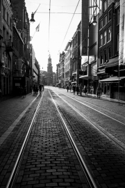 Tram Tracks