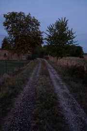 Path at Dusk