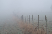 Fence in the Fog