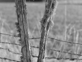 Split Post