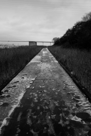 Icy Causeway