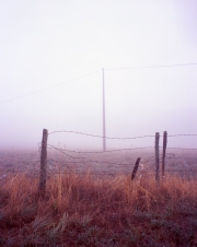 Fog and Barbed Wire Fence