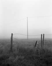 Fog and Barbed Wire Fence
