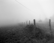 Fog and Barbed Wire Fence