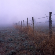 Fog and Barbed Wire Fence