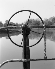 Wheel