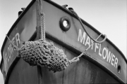 Mayflower