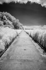 Causeway (IR)