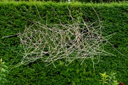 Wicker sculpture