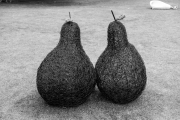 Wicker pears