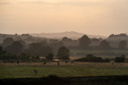 Sunset over fields