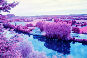 River Lot , colour infra-red film