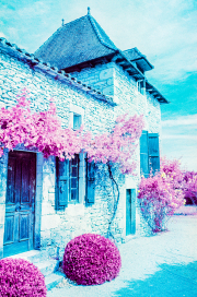 Gite, colour infra-red film