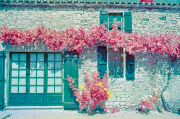 Gite courtyard, colour infra-red film