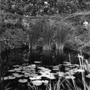 Water feature