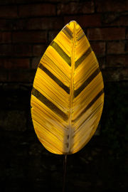 Glass leaf