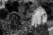 Overgrown Headstones