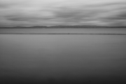 Pool and Seagull Long Exposure