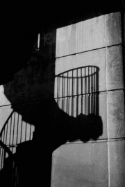 Spiral Staircase Shadow