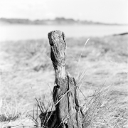 Eroded Post