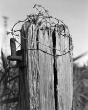 Post and barbed wire