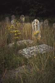 Graveyard long grass