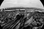 Log and Second Severn Bridge