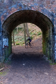 Incoming Mountainbiker