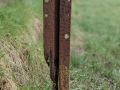 Rusting Post