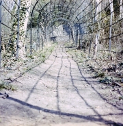 Arch with Shadows