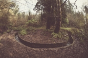 Stream, Fisheye lens