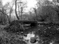 Wooden Bridge