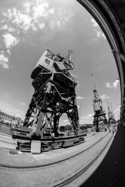 M-Shead Cranes, Fisheye Lens