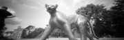 Lion Sculpture, pinhole